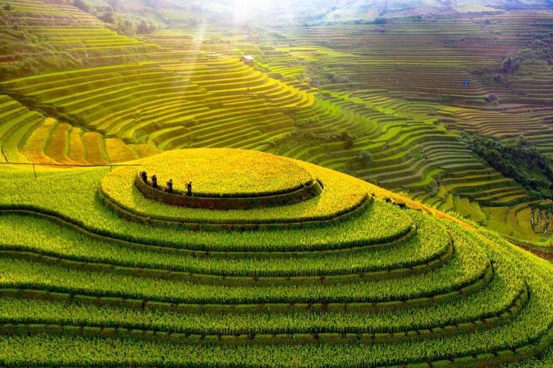 Hong Minh Guesthouse Mu Cang Chai Zewnętrze zdjęcie
